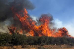 California Wildfires