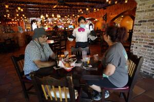 Lulu Salcido, Hamid Farzam, Fatima Hernandez