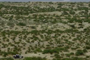 MEXICO JUAREZ SLAYINGS