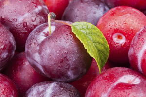 alimentos-digestao-1.jpg