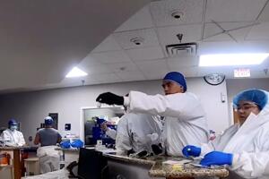 Familia coronavirus 5.jpg