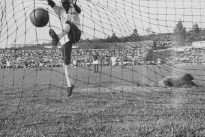 pele-g.jpg