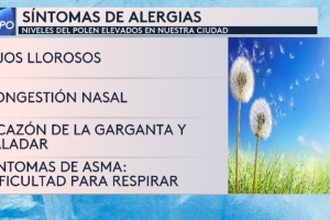 alergias-polen-cedro-San-Antonio