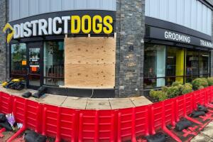 WhatsApp Image 2023-08-15 at 16.15.00.jpeg