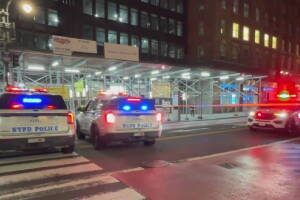 Hombre de 53 años muere tras ser golpeado con una tabla en un parque de Queens.