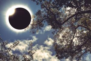 ¿Cómo le afectará el eclipse solar a tu signo zodiacal?