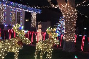 Impresionantes alumbrados navideños en Los Ángeles