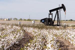 Land Creates Textiles and Energy for Cultivation