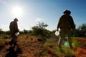 Calor Arizona migrantes