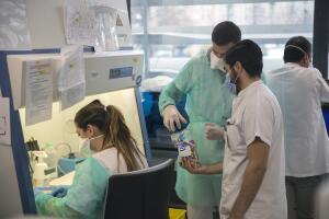 France Virus Outbreak