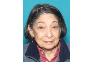 Frances-Bowling-mujer-encontrada