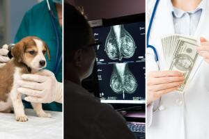 El inicio de 2026 marcará ajustes legales clave que cambian obligaciones para empresas, proveedores y autoridades estatales.