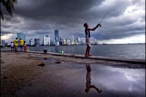 Miami elecciones