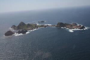 Farallones.jpg