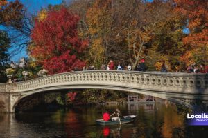 Central Park