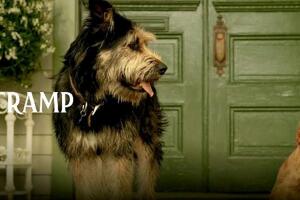 lady_and_the_tramp.jpg