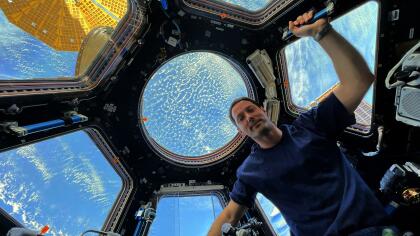 ESA astronaut Thomas Pesquet admiring Earth's oceans from the Cupola of the International Space Station. Thomas shared this image on his social media channels with the caption: "I have always believed it is best to listen to scientists and experts on topics. A unique digital conference is starting today where scientists from all over the oceans propose solutions and present their latest findings in the run up to the United Nations climate change conference. All waters are connected, and from space you can see that no maps do our planet justice: we really are an ocean planet. Oceans form a huge part of our ecosystem. There are 7 people in space right now, 7 billion people on Earth, but many more living organisms in the oceans by far, without them climate change would be worse. To protect it, we must understand it." Follow Thomas and his Mission Alpha on his blog.