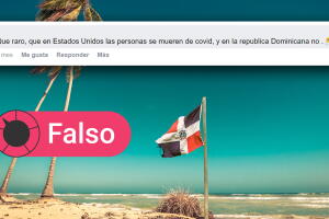 Dominicana3.jpg