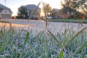 HoustonFrio.jpg