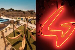 Stay Generator / Mad Monkey / Freehand hotels