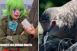 Chica evitó un asalto gracias a una paloma: su historia es tan sorprendente como bizarra