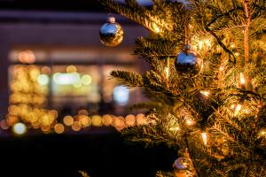 Miniature Christmas Lights