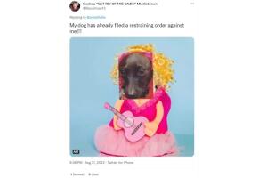 Tweet perrito con peluca de Dolly Parton meme.jpg