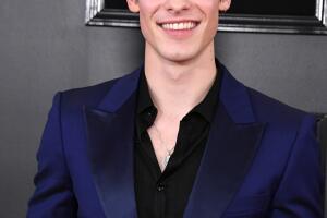 shawn-mendes-grammy-awards-2019.jpg