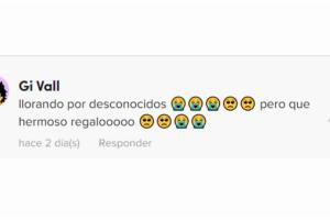 Usuarios de TikTok lloran por el video del hombre que recibió un osito con la voz de su esposa muerta.jpg