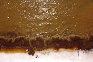 Pictures of the Week Latin America and Caribbean Photo Gallery