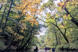 Mejores lugares para el follaje de otoño en Nueva York - Bronx River Greenway