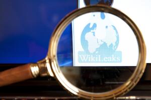 Wikileaks website through a magnifying glass