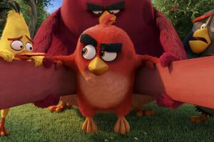 angry-birds-6.jpg
