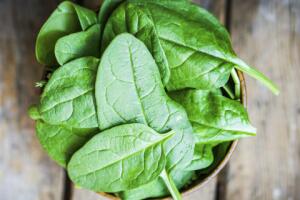 alimentos-contra-anemia-5.jpg