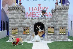 Lifetime's "Corgi Court" In Celebration Of "Harry & Meghan: A Royal Romance" Premiering On May 13