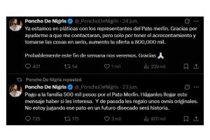 La oferta de Poncho de Nigris