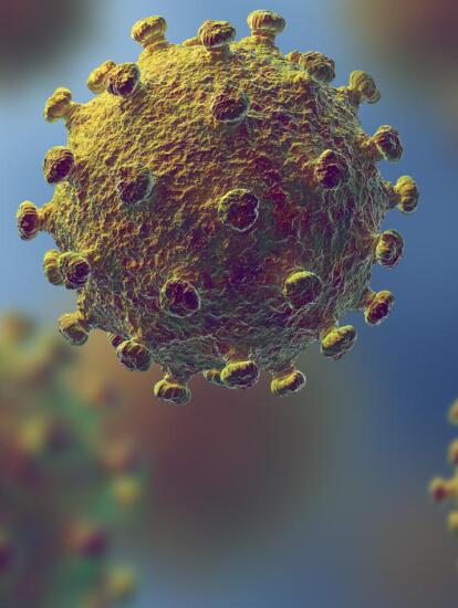 Es posible que traiga a casa el coronavirus en mi ropa o mis ...