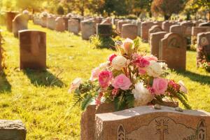 Roses in a cemetery with headstones