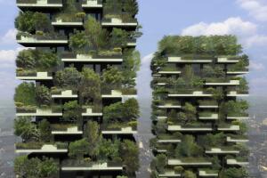 bosque-vertical-2.jpg