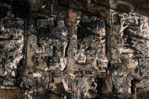 AP25031090449499 (1).jpg