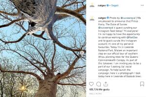 harry IG nat geo 1.jpg