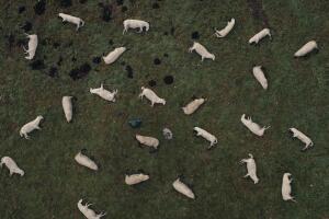 Datos curiosos de la serie Dark de Netflix