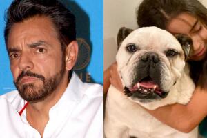 Muere Fiona, la perrita de Eugenio Derbez: la familia y el actor están de luto y con un dolor "inmenso"
