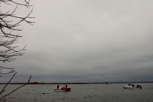 One Million Oysters Released Into Rhode Island Waters