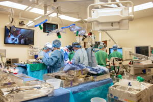 Transplant team 3.jpg