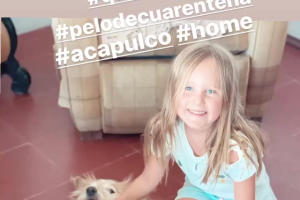 soto bazan 6.png