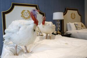 APTOPIX White House Turkey