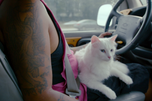 'Cat People'