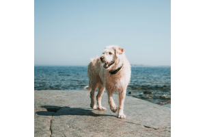 king-arthur-pelicula-historia-real (3).png