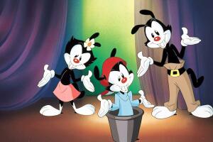 animaniacs-regresan-a-la-television.jpg